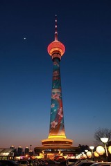 梅花迎春