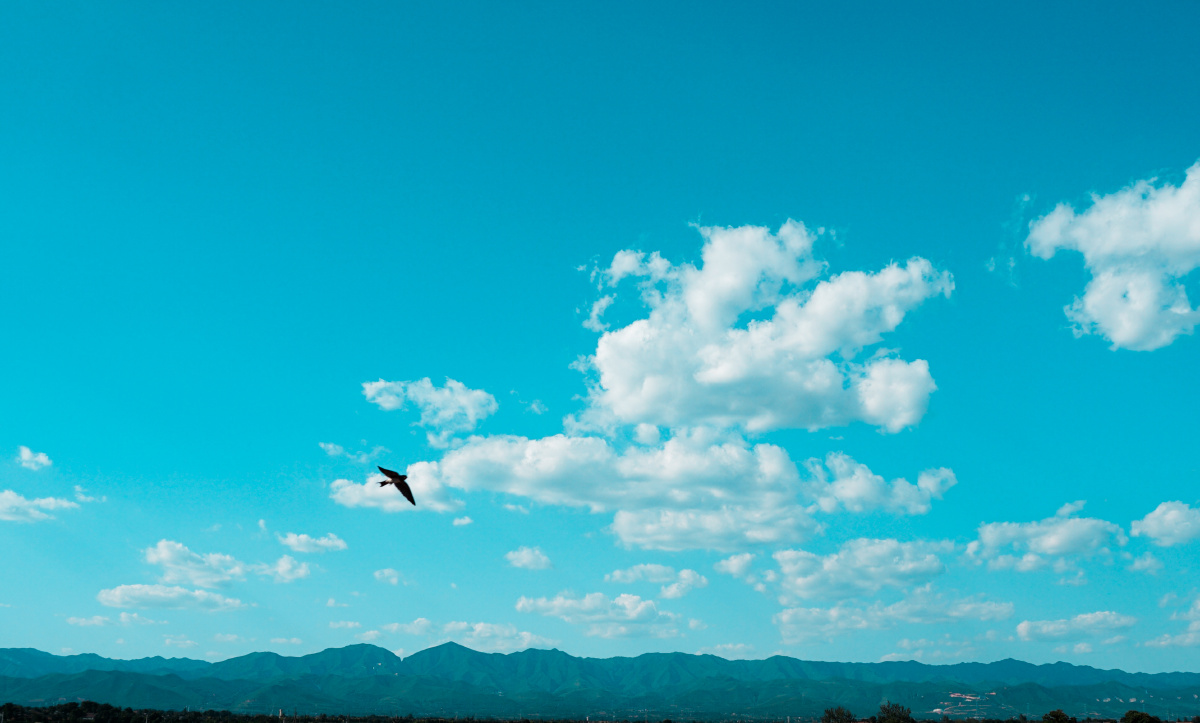 天青色等烟雨而我在等你