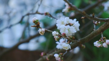 747C3CA5-33C8-47C7-897E-3098F1B54831/L0/001