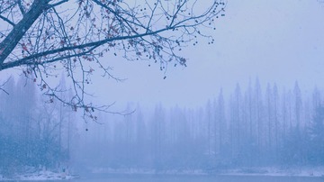 CA50277F-7A24-4711-9F27-81566D5FBB8F/L0/001