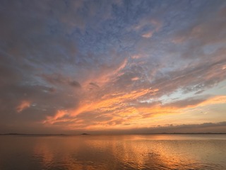 1F0EE1AF-5AA6-4B2D-AA14-302601F698EF/L0/001