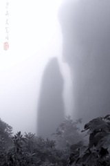 1000006282
