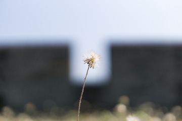 E95D2229-0373-4504-BA18-ED42CF4089C2/L0/001