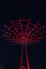 IMG_0337-LR