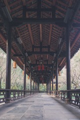IMG_0108-LR5