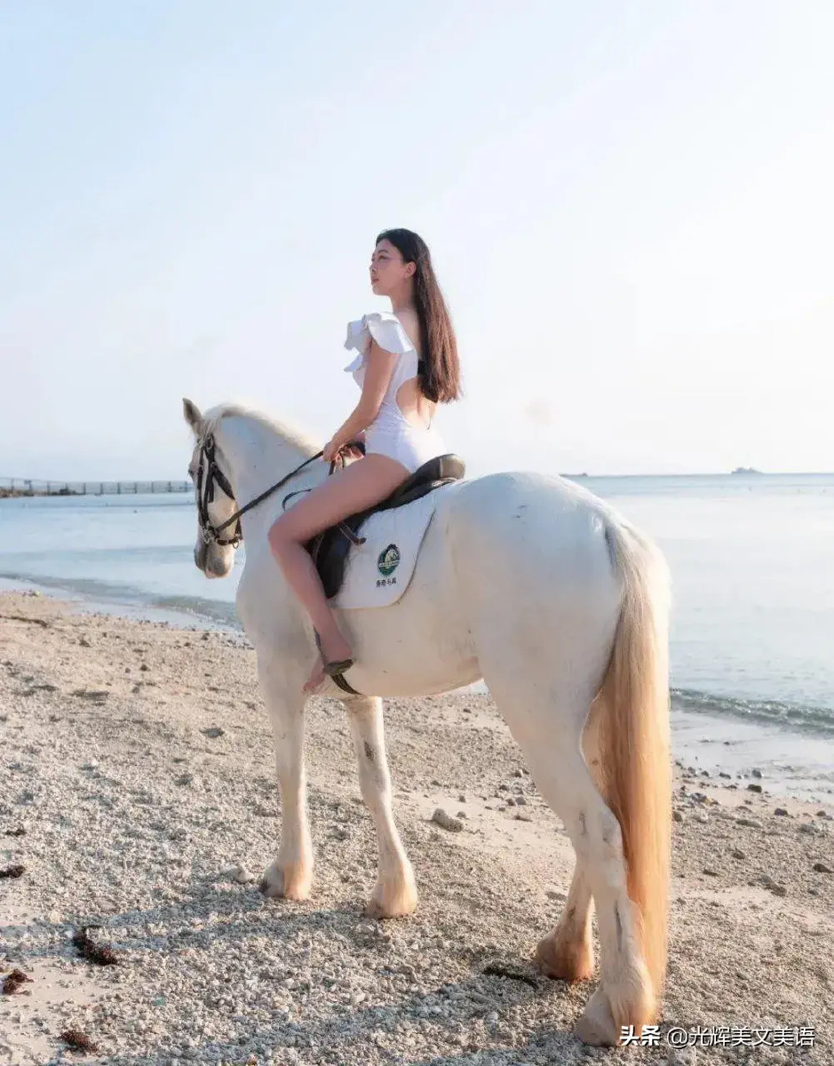今日头条复制过去的骑白马的美女