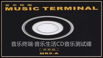 53847
