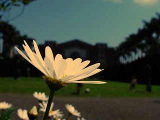 IMG_6780.jpg