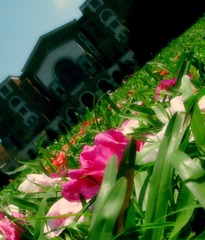 IMG_6784.jpg