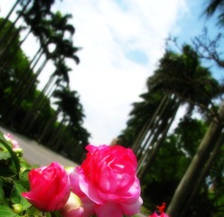 IMG_6789.jpg