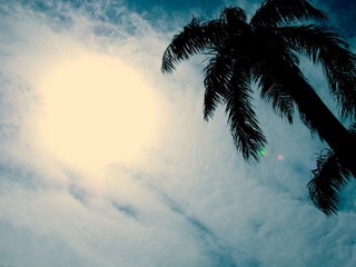 IMG_6793.jpg