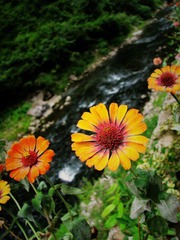 IMG_5674.JPG