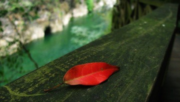 IMG_5738.JPG