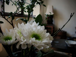 IMG_6836.jpg