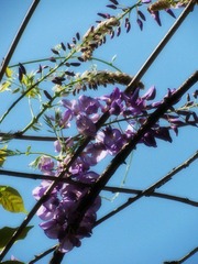 IMG_6841.jpg