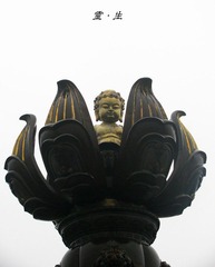 IMG_1637_光影_1.jpg