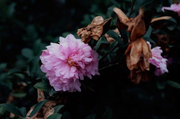 E65C1EC8-A833-4FD2-8F15-79338BFEAB7B/L0/001