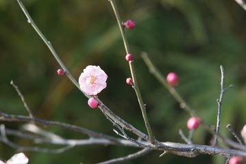 001