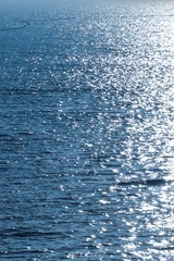 7F3FDD58-AB5E-4DD0-979D-D0419D85419B/L0/001