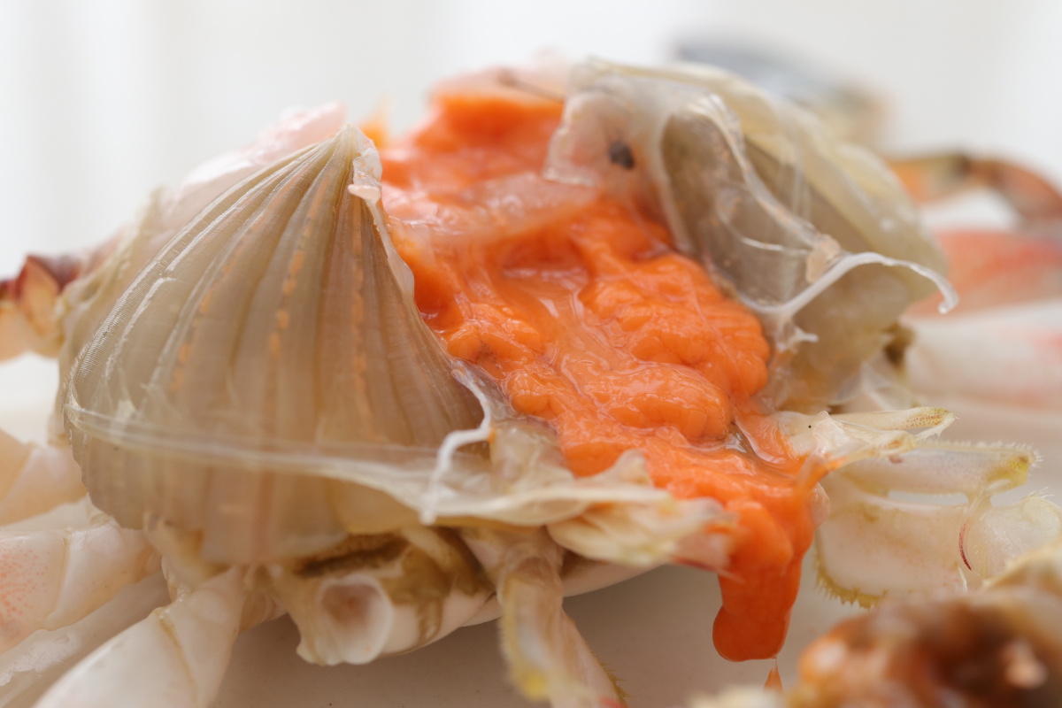 三眼蟹梭子蟹蟹黄开渔