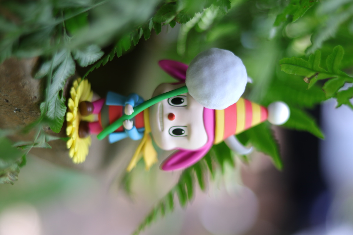 拉布布花语系列蒲公英