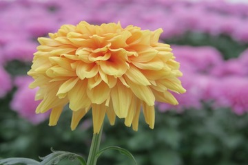 20161005121315