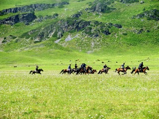 IMG_1505_