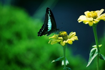 B5A2D8BF-403C-4823-AE54-50A8C98156AD/L0/001