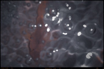 2552592