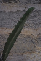 2305258