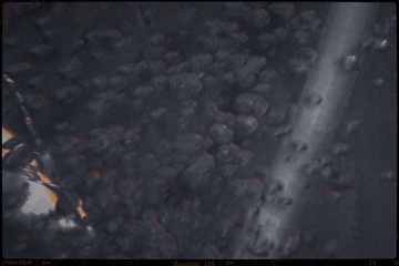 2552604