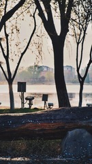 1047251