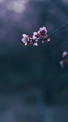 1047250