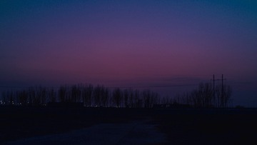 976731