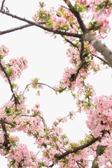 71F59233-5E9F-4C11-8C22-4CF07DE1EB0F/L0/001
