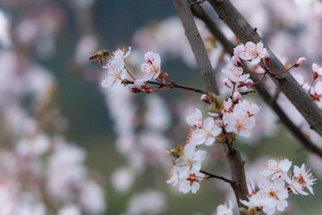 6B761ABD-136F-431B-92A7-BD8D05F36E79/L0/001