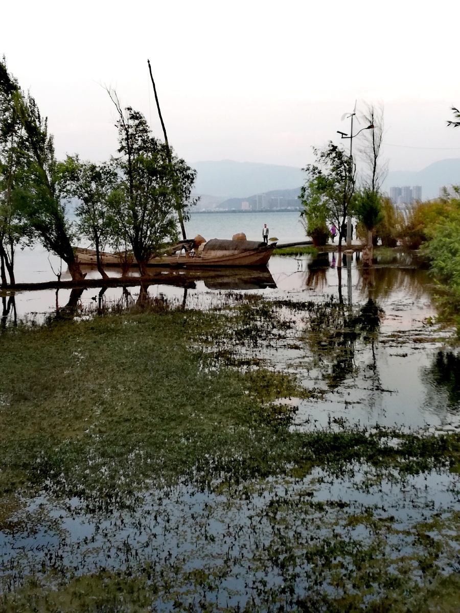 一部手机拍云南52大理洱海月湿地公园