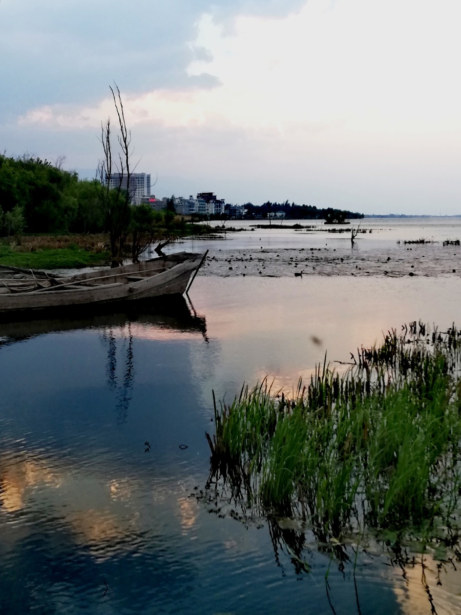 一部手机拍云南52大理洱海月湿地公园