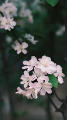 AE3A1B96-ED48-4A8C-9442-B04FF97CD2F0/L0/001