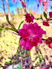 54F41C39-4AF0-4C93-8A05-256A47E2EFD0/L0/001
