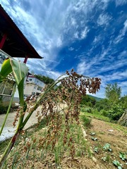 AA6D5B40-1642-4689-A3BC-0B97D5A2D78B/L0/001