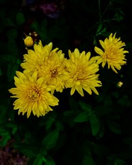 07BCEBBD-7D66-4C33-A673-D1870EA65D32/L0/001
