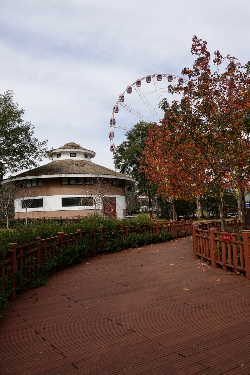 上海顾村公园的秋景 - 海上无声的波浪 - 图虫