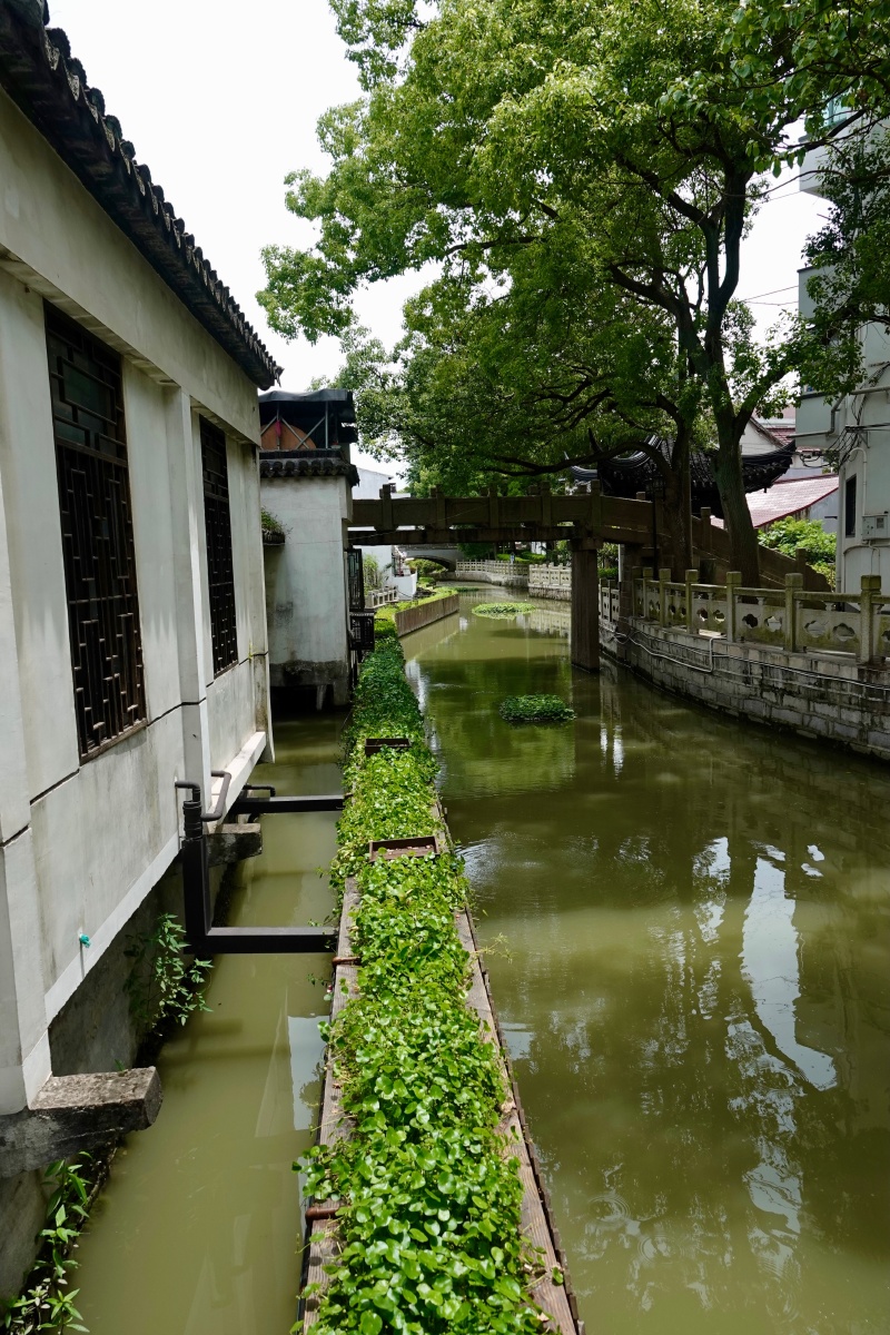 上海花米庄行老街随拍
