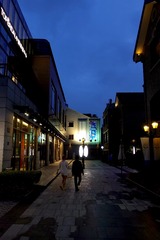 05829635-C3D2-490E-BA39-5BD2A0D158E1/L0/001