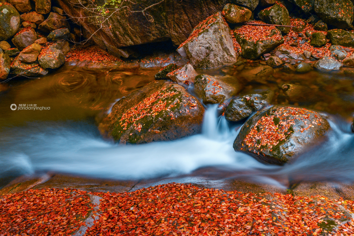 流水潺潺秋叶斑斓