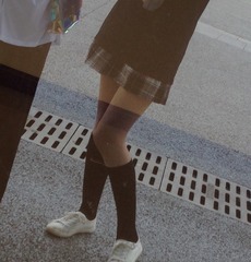 406073