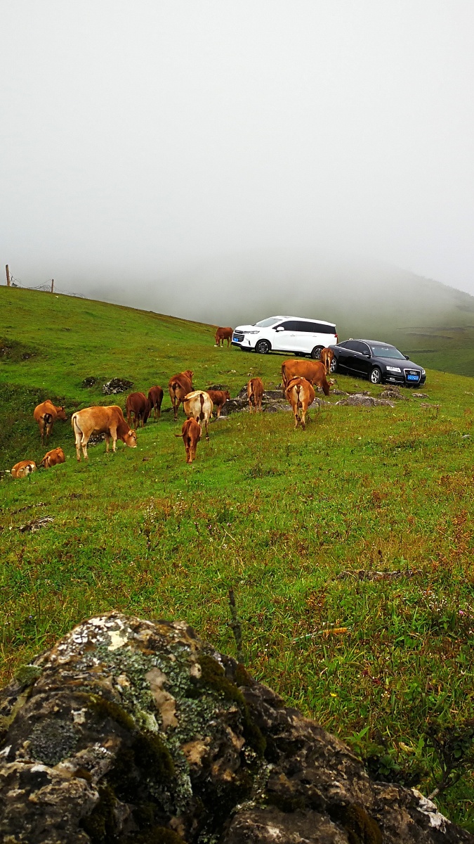 开远市南国大草原