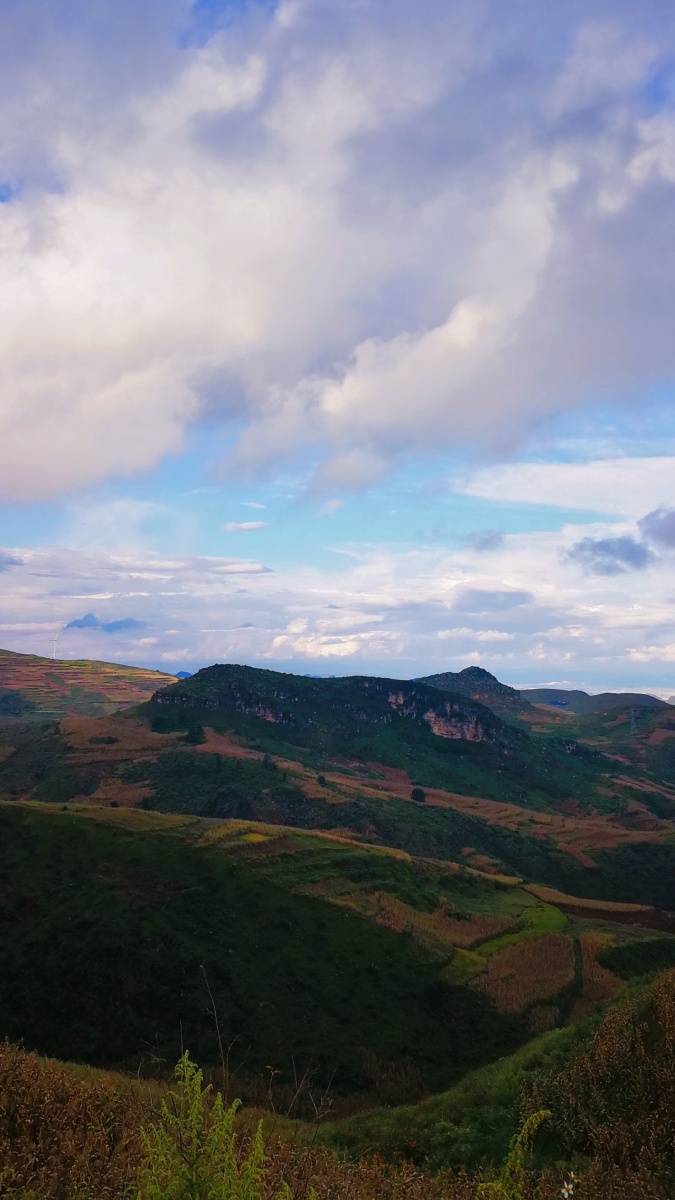 开远市南国大草原