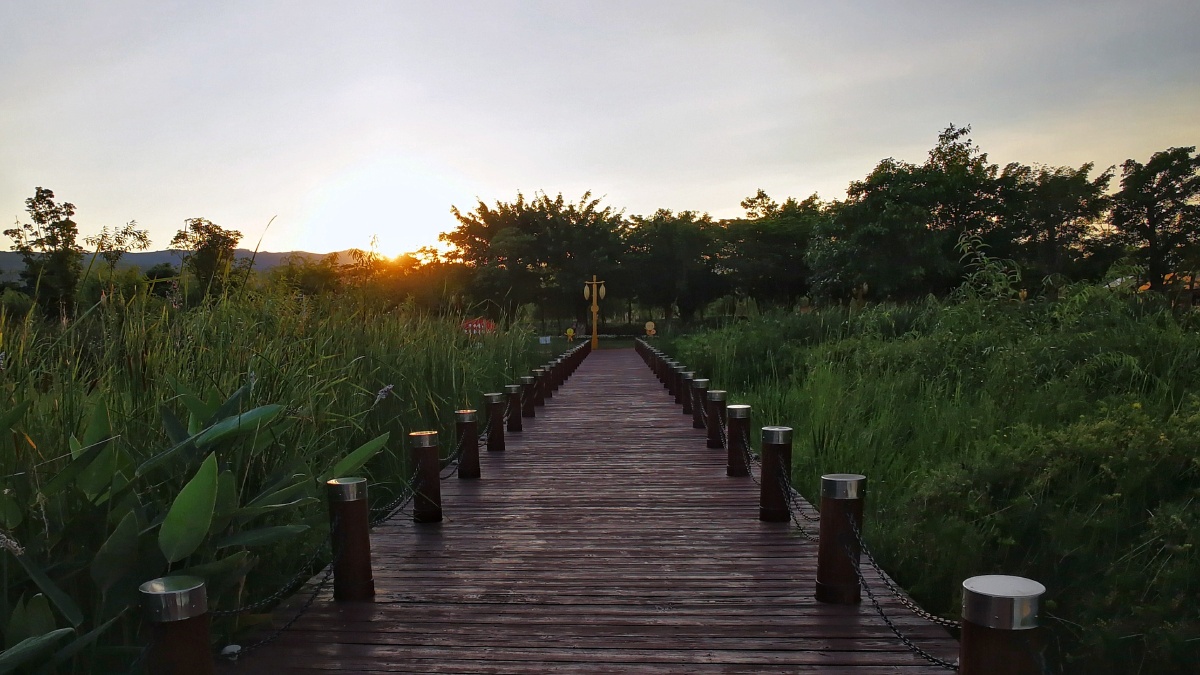开远凤凰山湿地公园手机拍摄